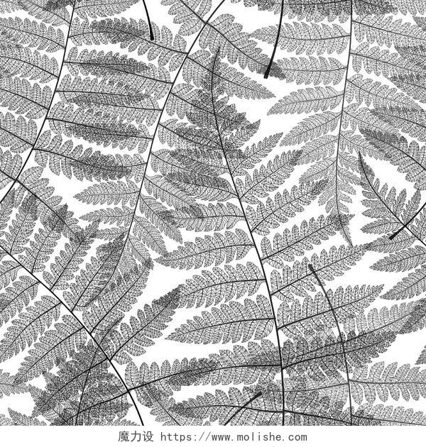 创意黑白树叶图案纹理素材